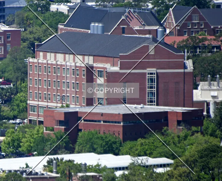 Photo 725-890-449