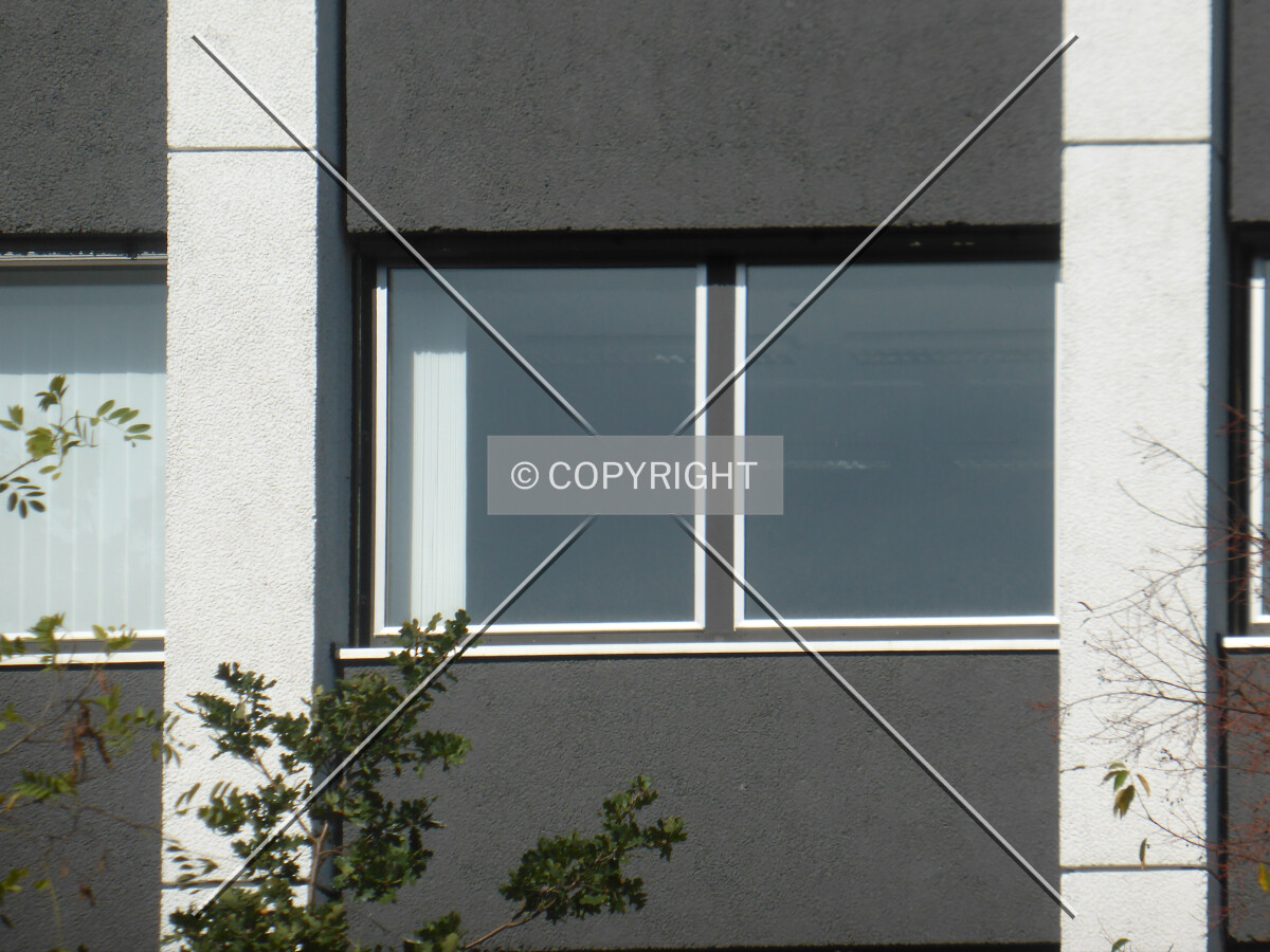 Photo 725-893-465