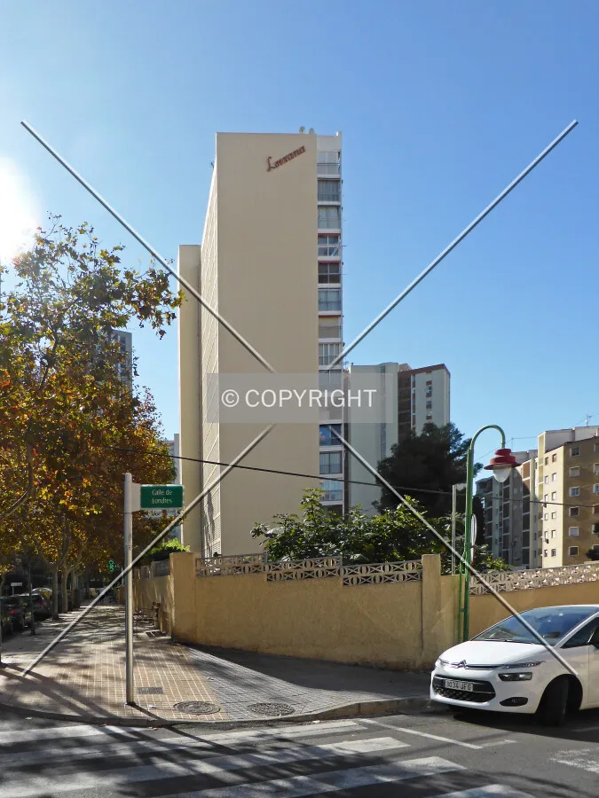 Photo 725-919-975