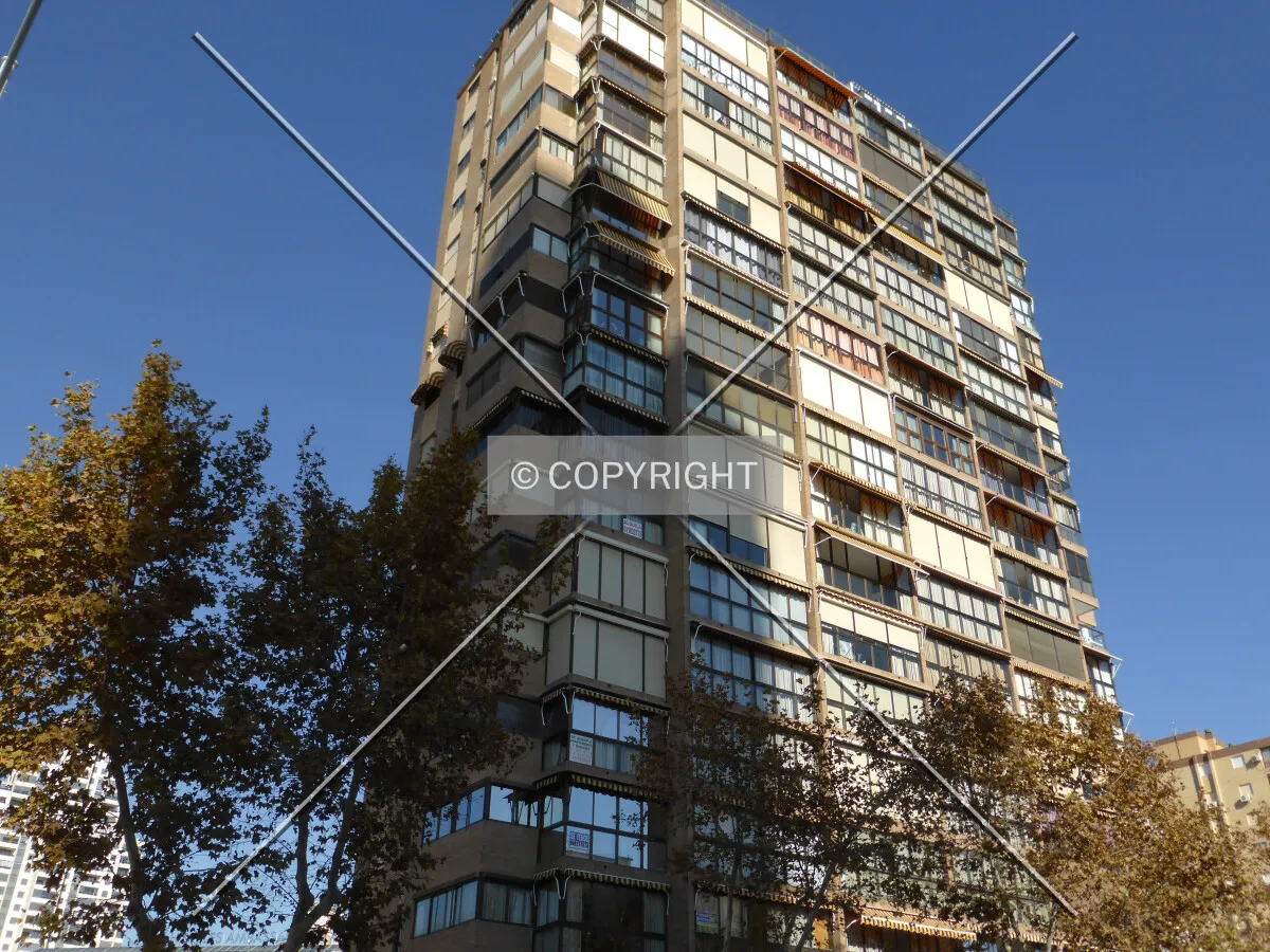 Photo 726-126-565