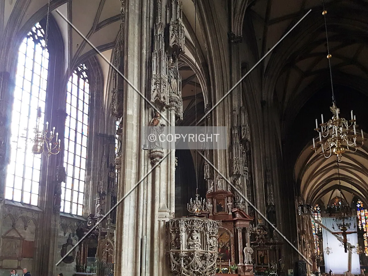 Photo 726-143-794