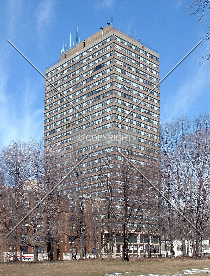 View from the southwest