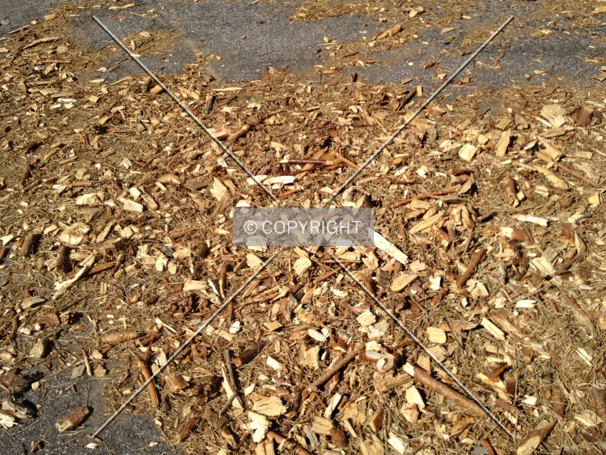 Wood chips - shredded wood