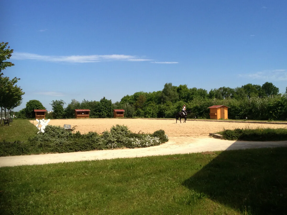 Photo 726-703-372