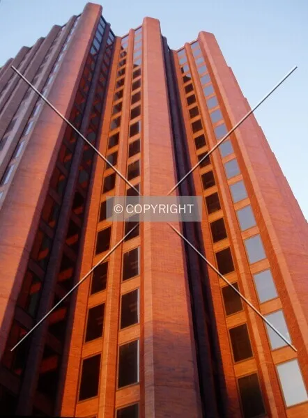 Photo 727-484-429