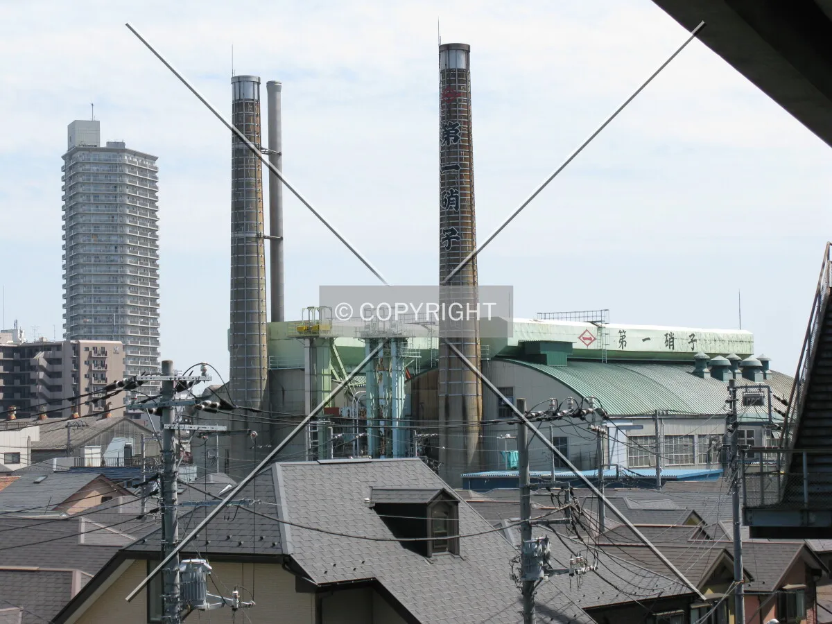 Photo 727-498-828