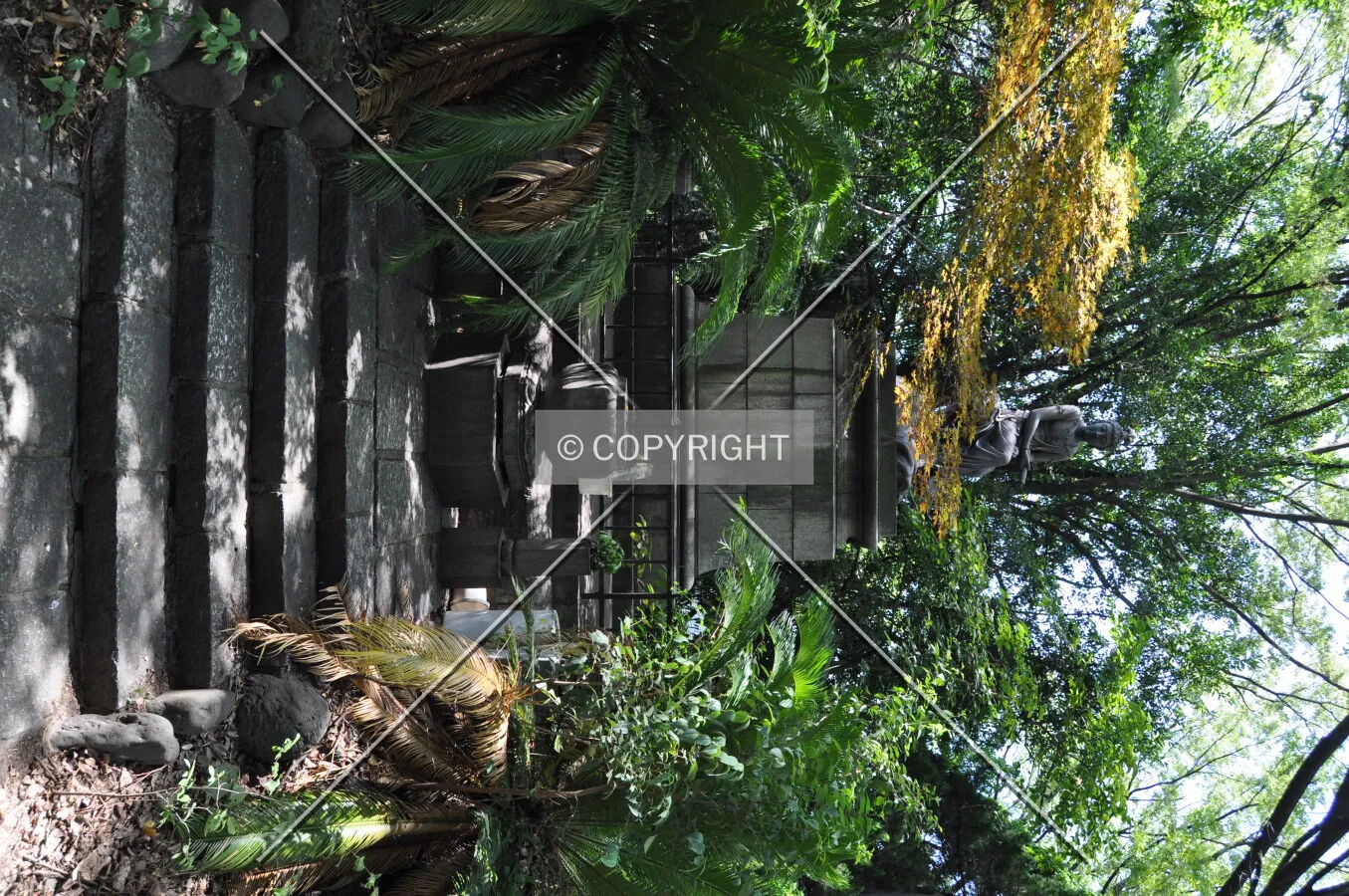Photo 072-769-146