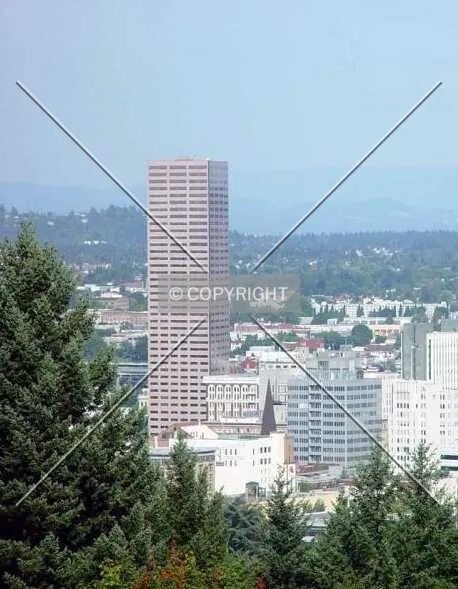 Photo 072-810-302