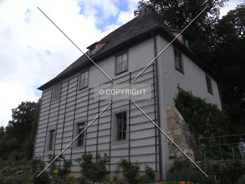 Photo 728-157-874