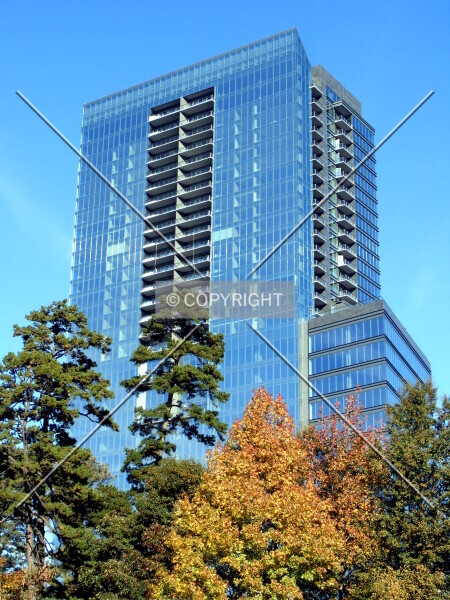 Photo 728-197-897