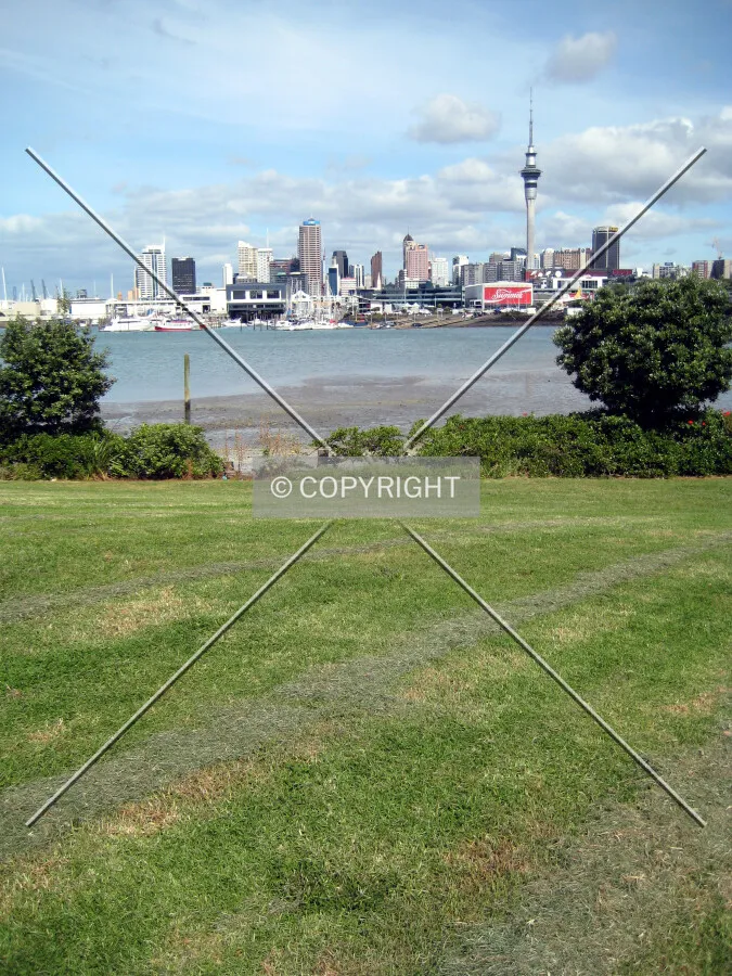 The Auckland skyline