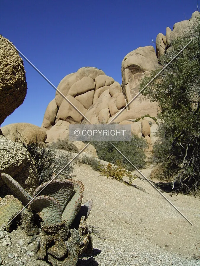 Dusty way through Joshua Tree NP