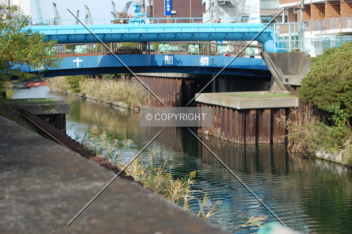 Photo 728-937-552