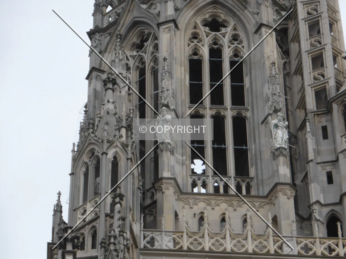 Photo 728-979-735