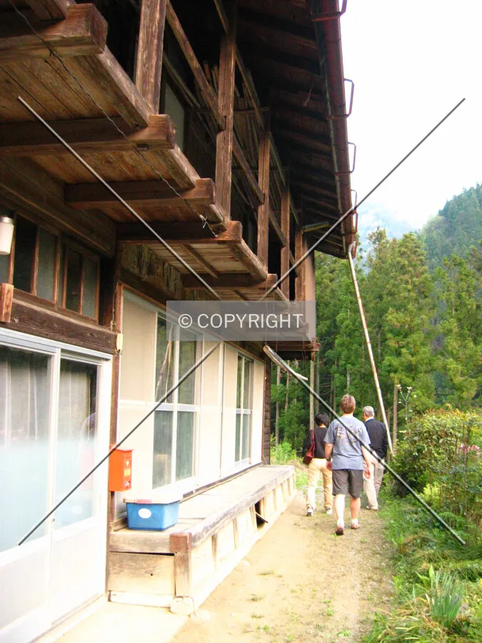 Photo 729-011-497