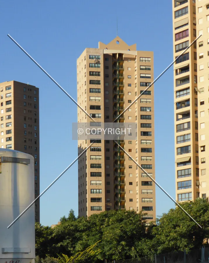 Photo 729-162-446