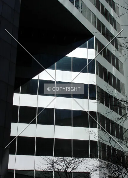 Photo 729-343-822
