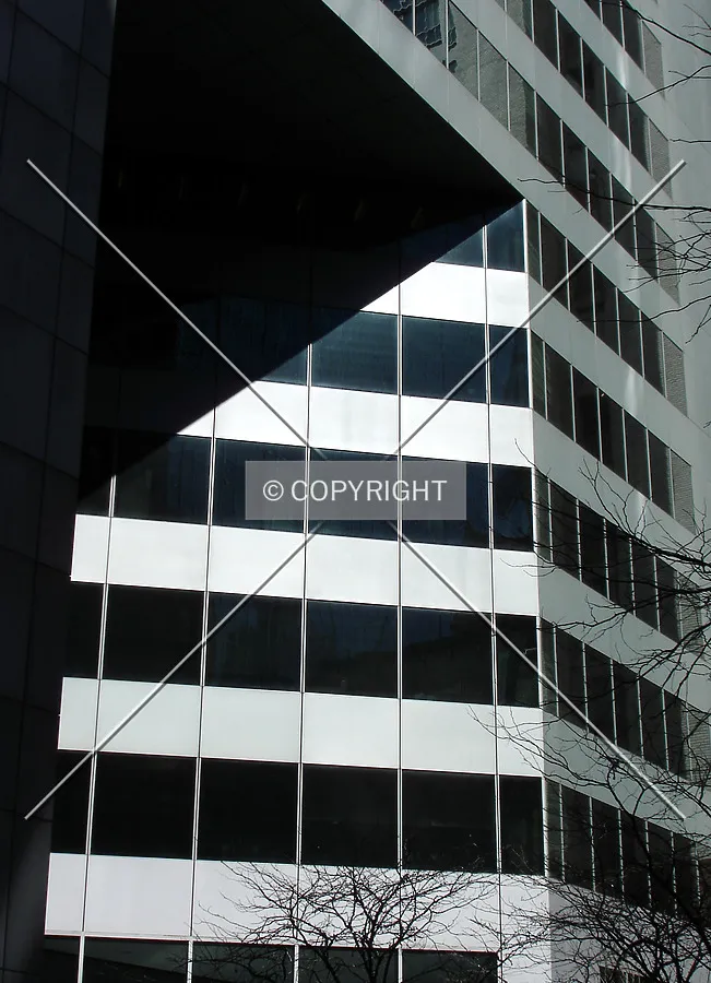 Photo 729-343-822