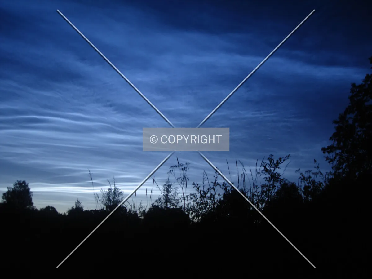 Photo 729-554-322