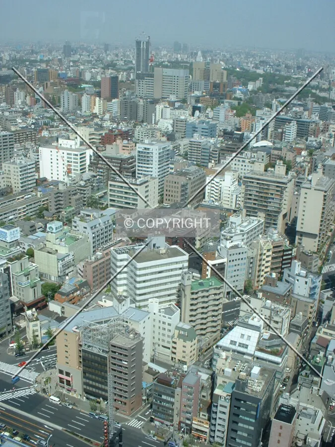 Photo 729-615-657