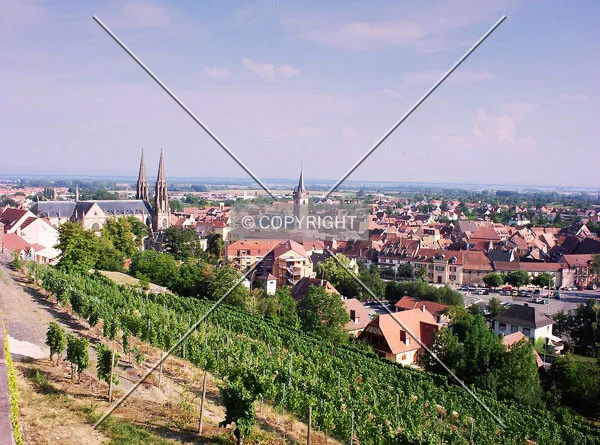 Looking down from a wineyard on the hill