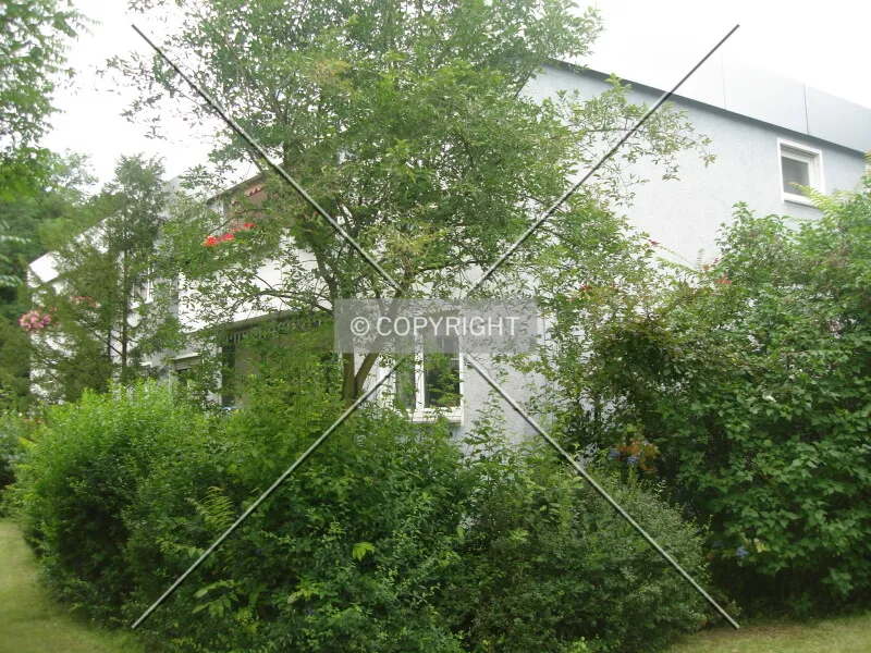 Photo 729-775-876