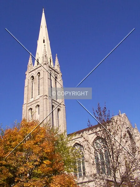 Photo 729-857-587
