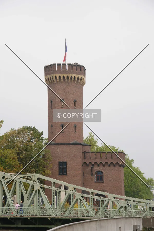Photo 729-977-771