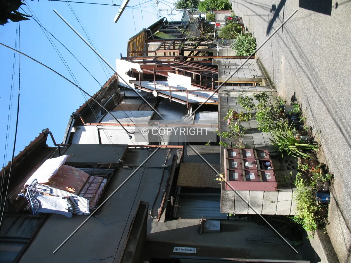 Photo 729-977-953