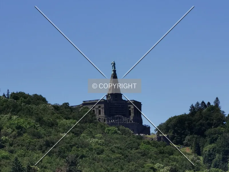 Photo 729-978-894