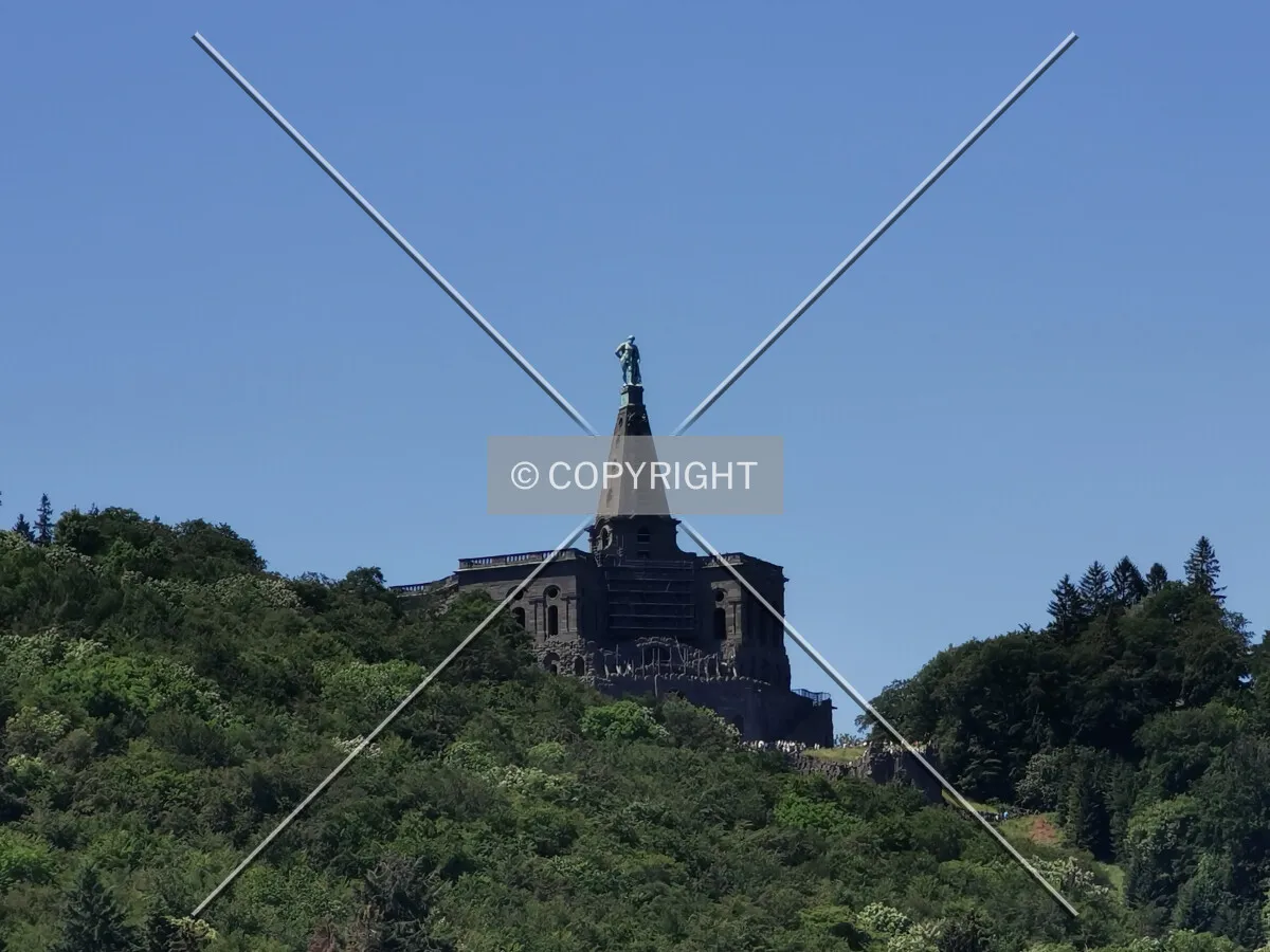 Photo 729-978-894