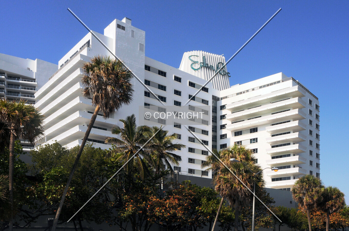 View from the northeast along the boardwalk