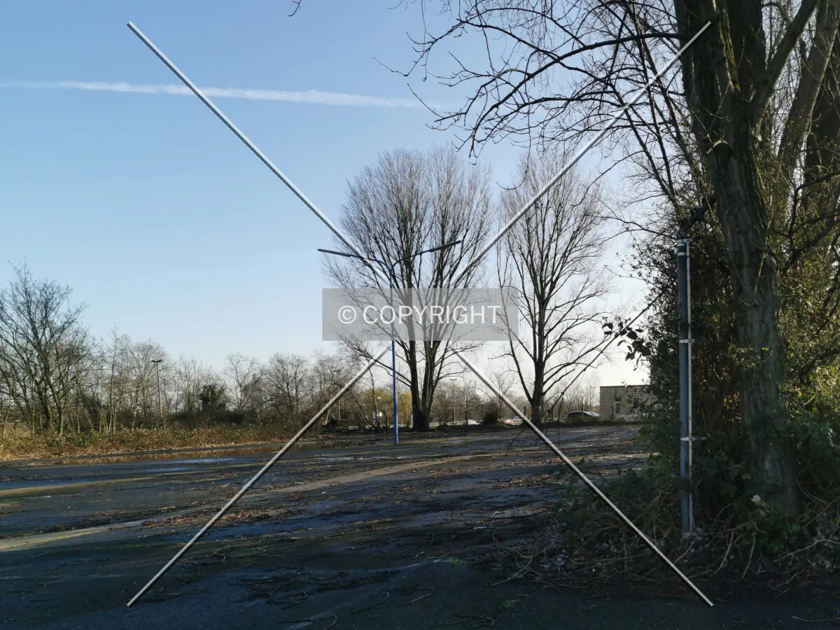 Photo 730-346-582