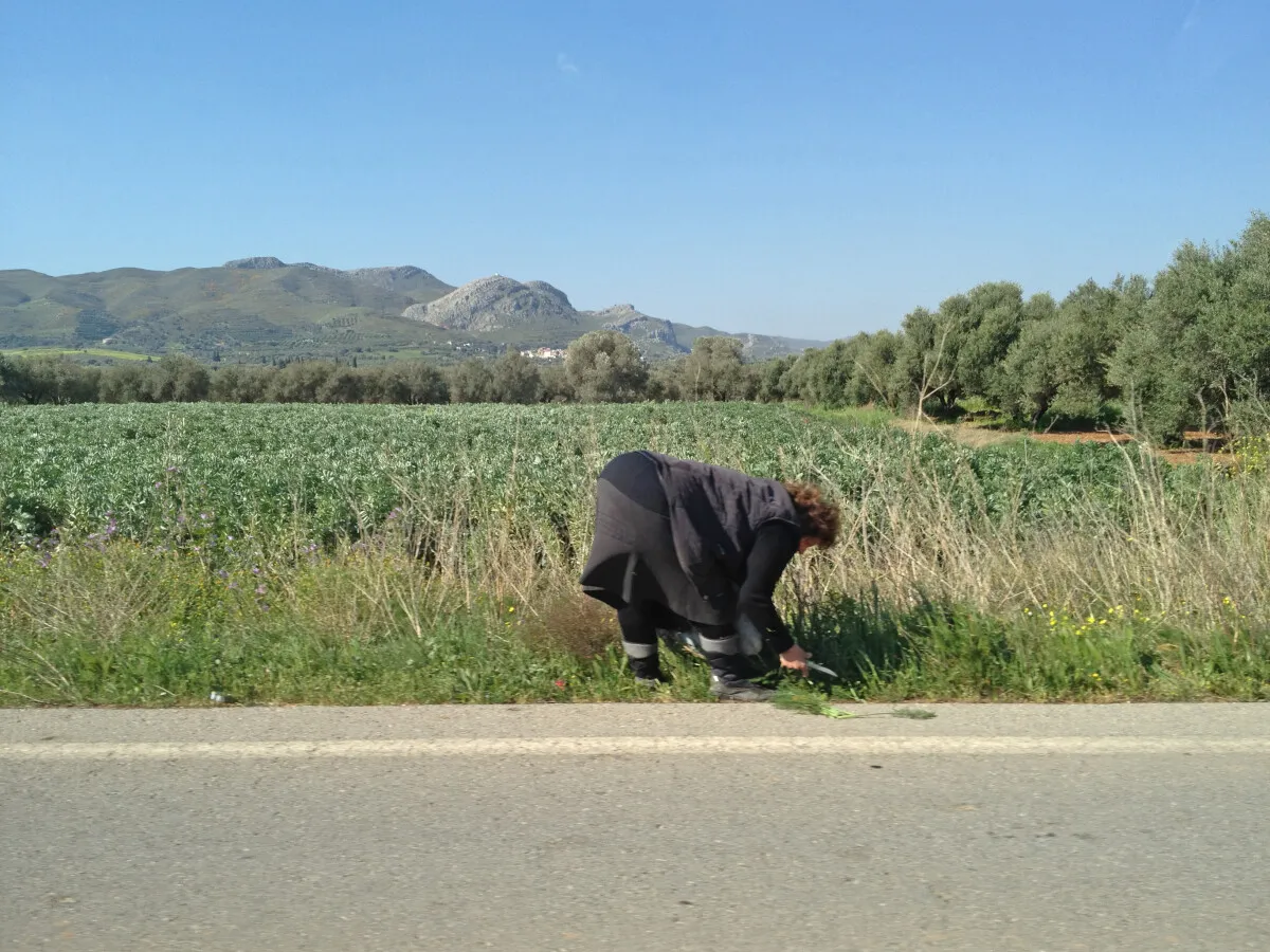 Photo 730-788-563