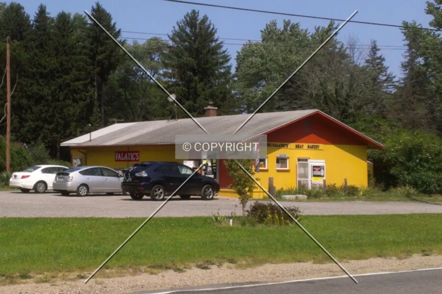 Photo 730-972-933