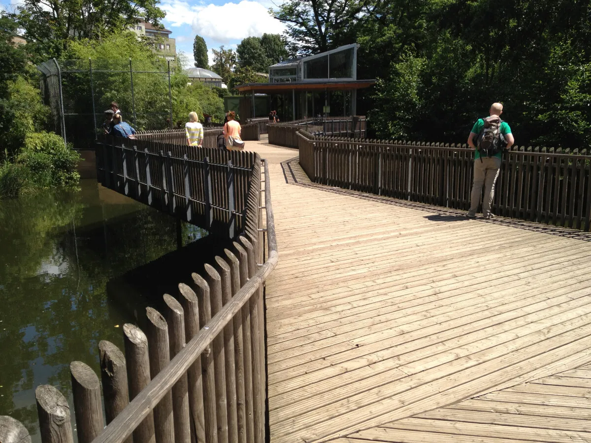 Photo 731-832-934