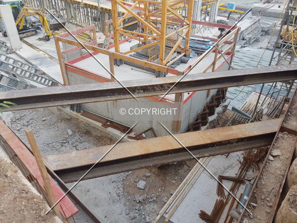 Photo 732-231-890