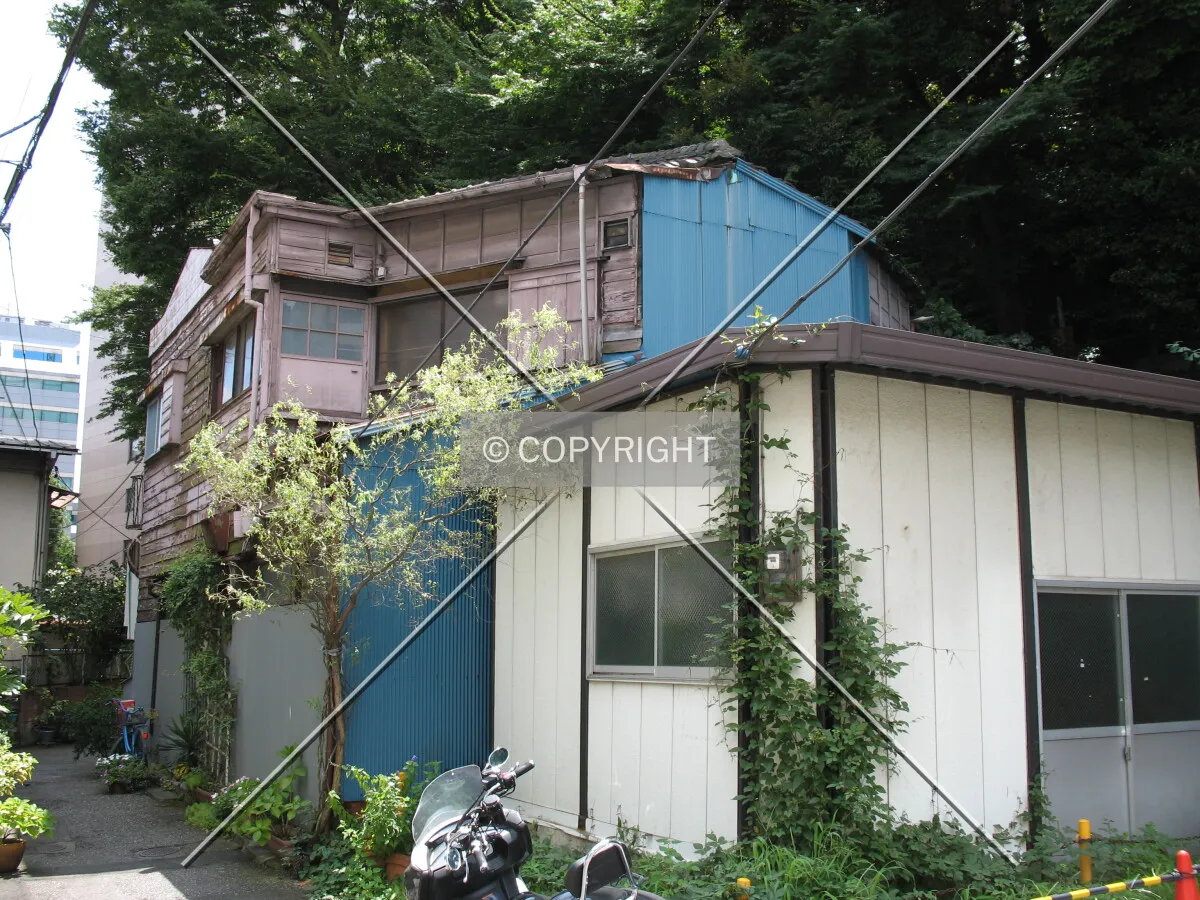 Photo 732-246-726