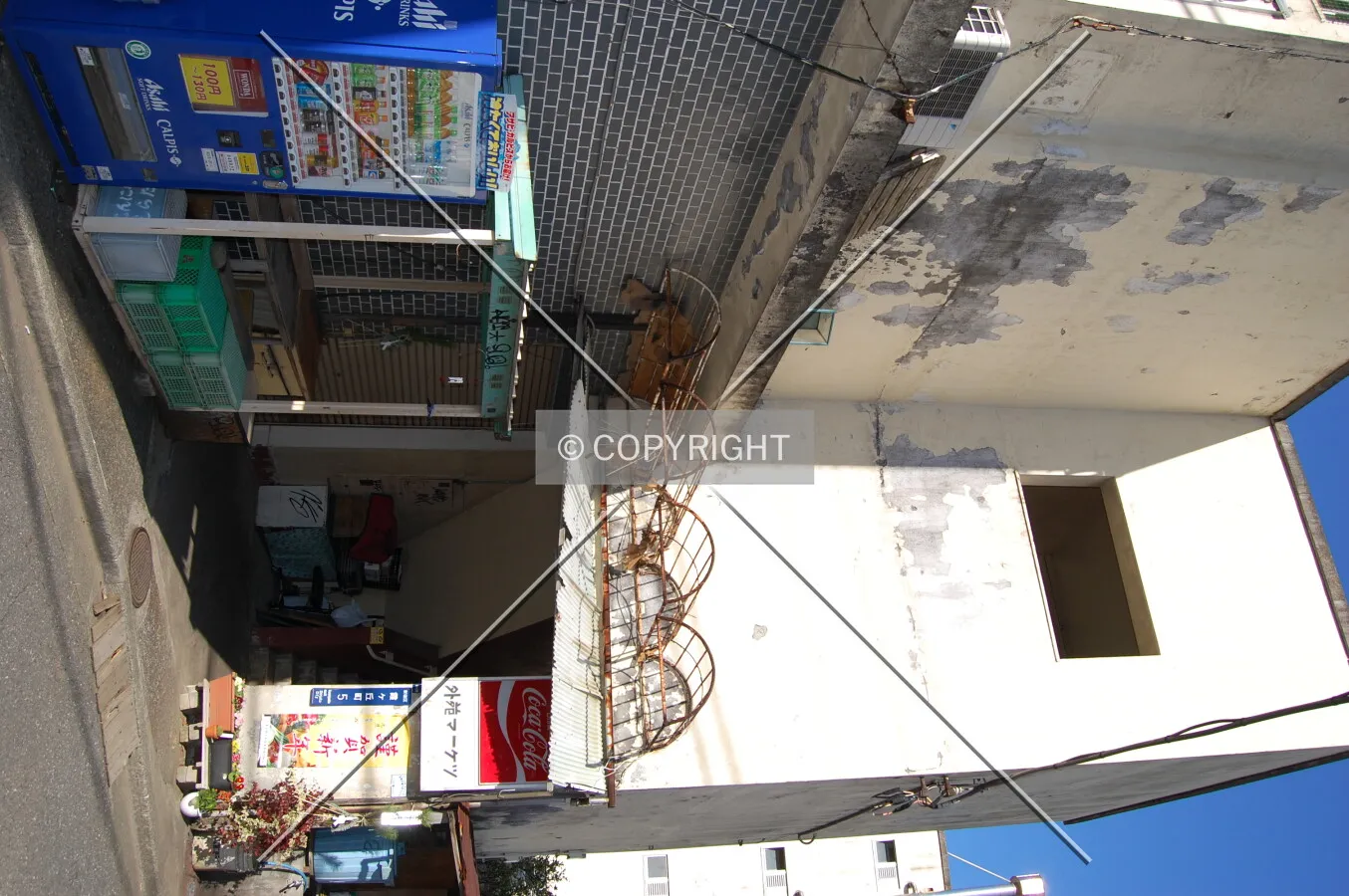 Photo 732-248-348