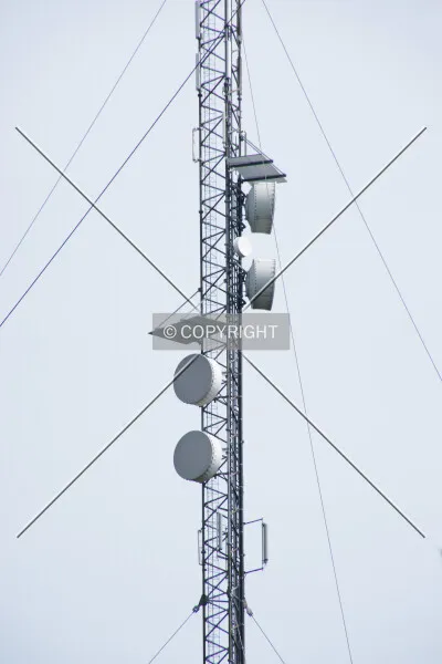 Photo 732-427-695