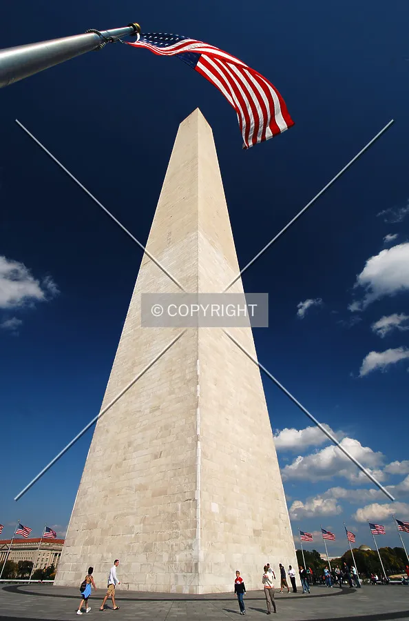 Photo 732-453-979