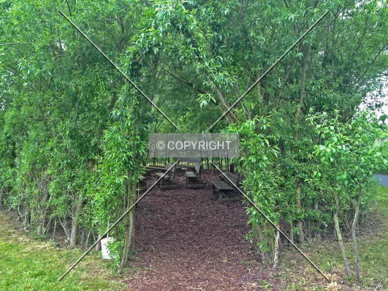 Photo 732-486-313