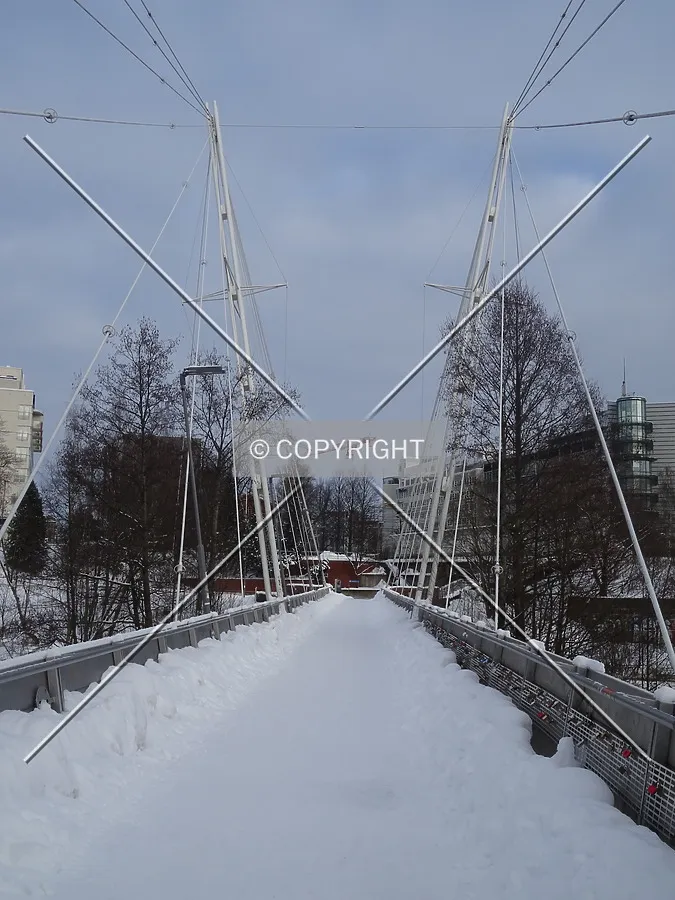 Photo 732-913-884
