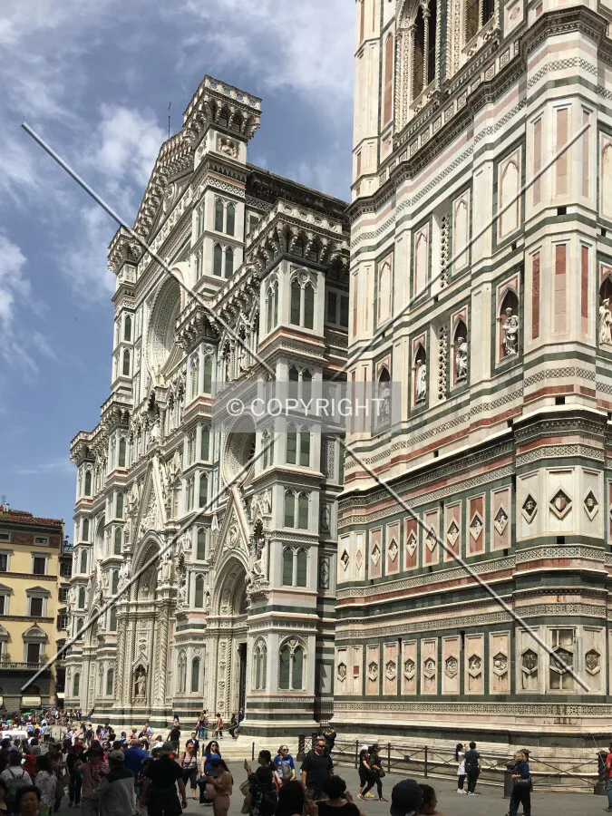 Photo 732-978-063