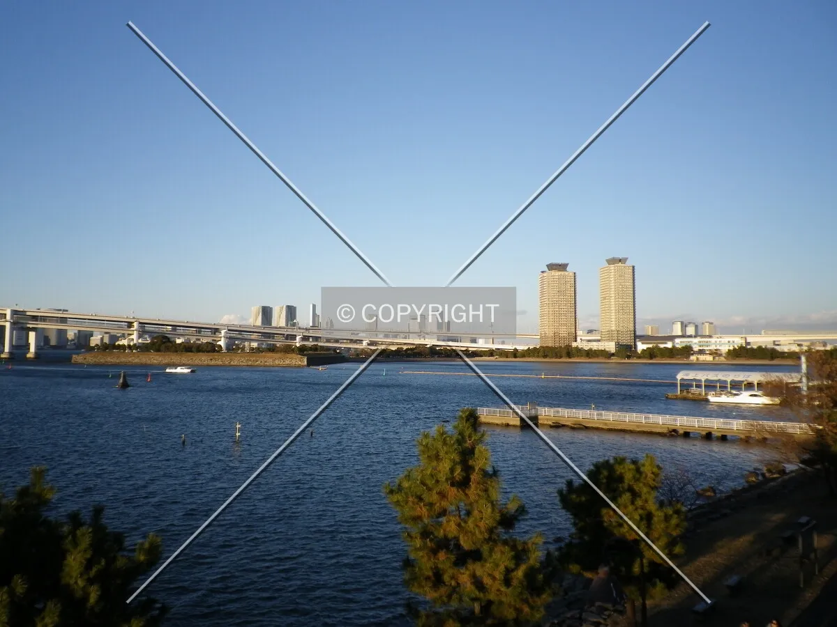 Photo 733-228-540