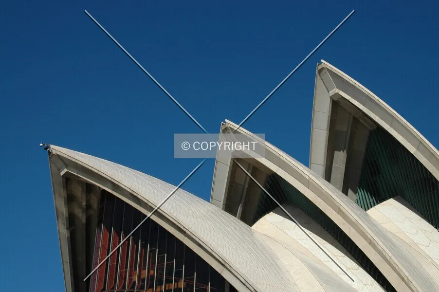 Photo 733-371-454