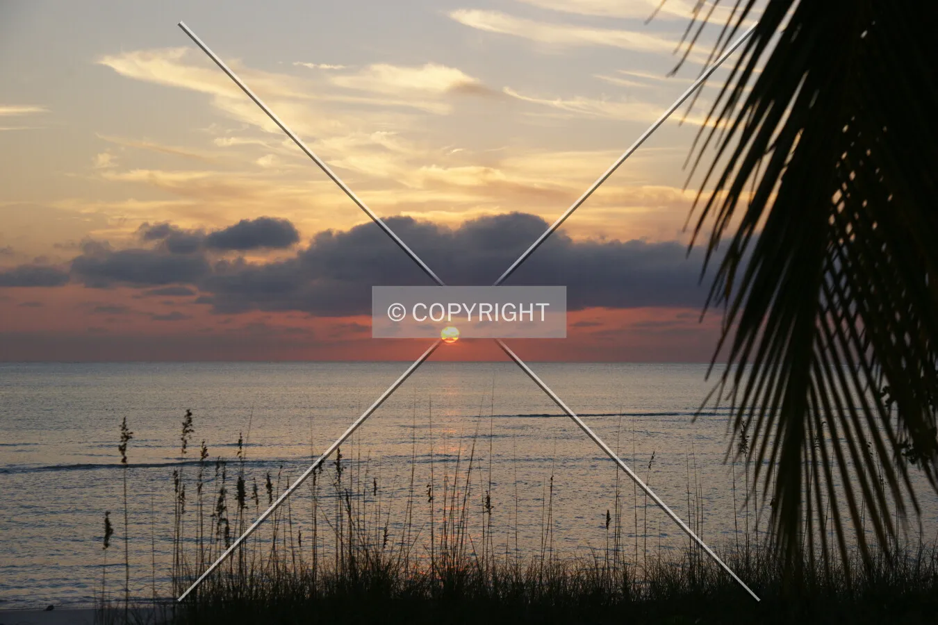 Beautiful sunset on the sea