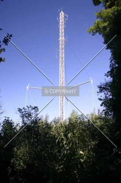 Photo 733-581-875