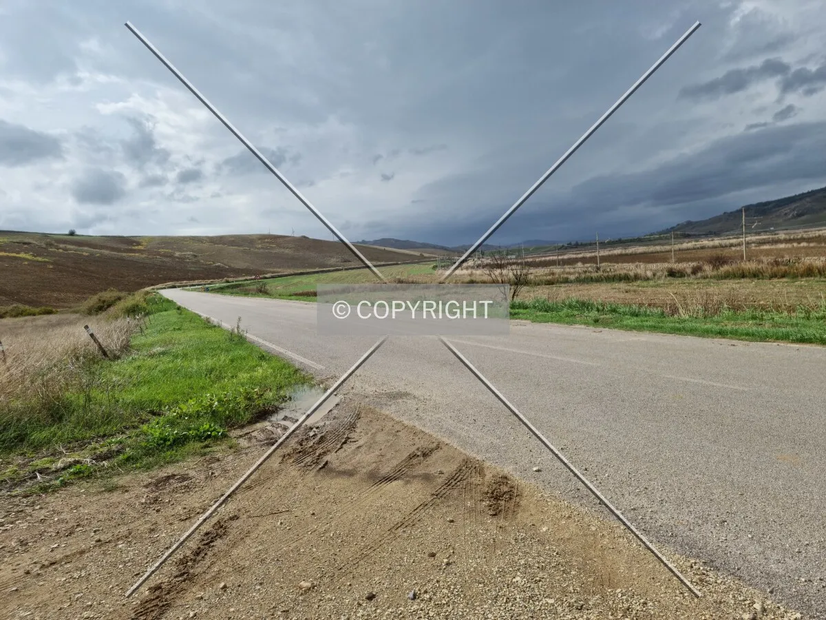Photo 734-202-331