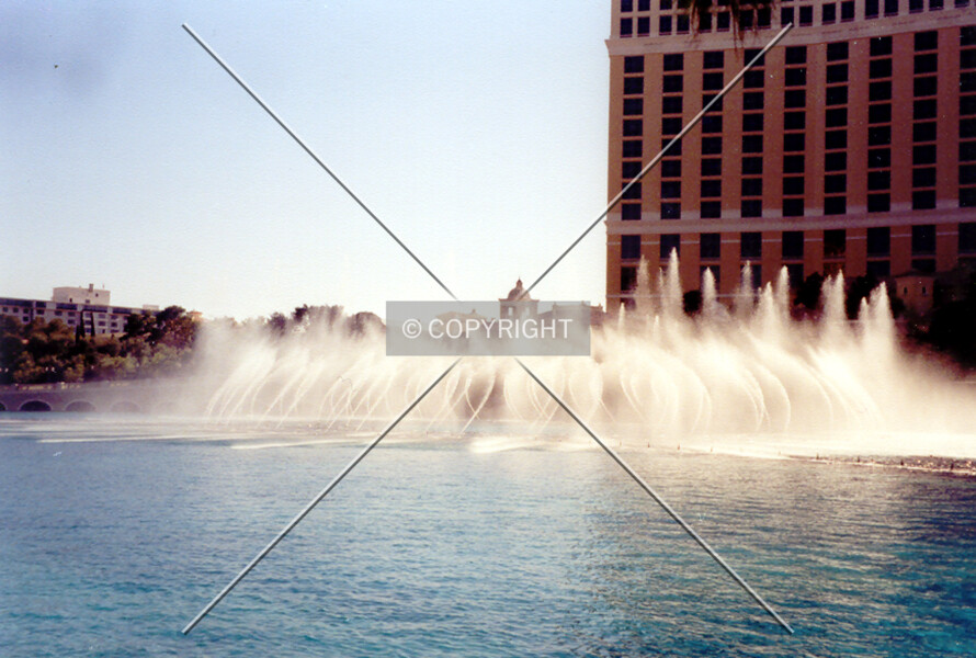 Photo 734-974-858